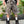 SHORT DIAMOND VARSITY