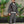 TRACKSUIT BANDE BUNKER GREY