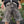 SHORT DIAMOND VARSITY