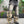 SUPER BAGGY MILITARY 2.0